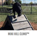 View Mini Hill Climb